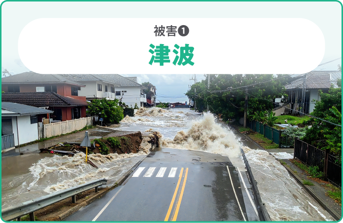 被害❶津波