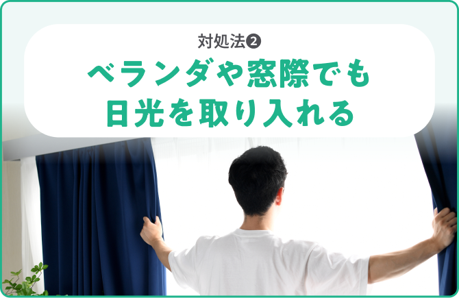 対処法❷ベランダや窓際でも日光を取り入れる